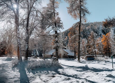 A serene winter scene with a snow-covered cabin surrounded by trees.