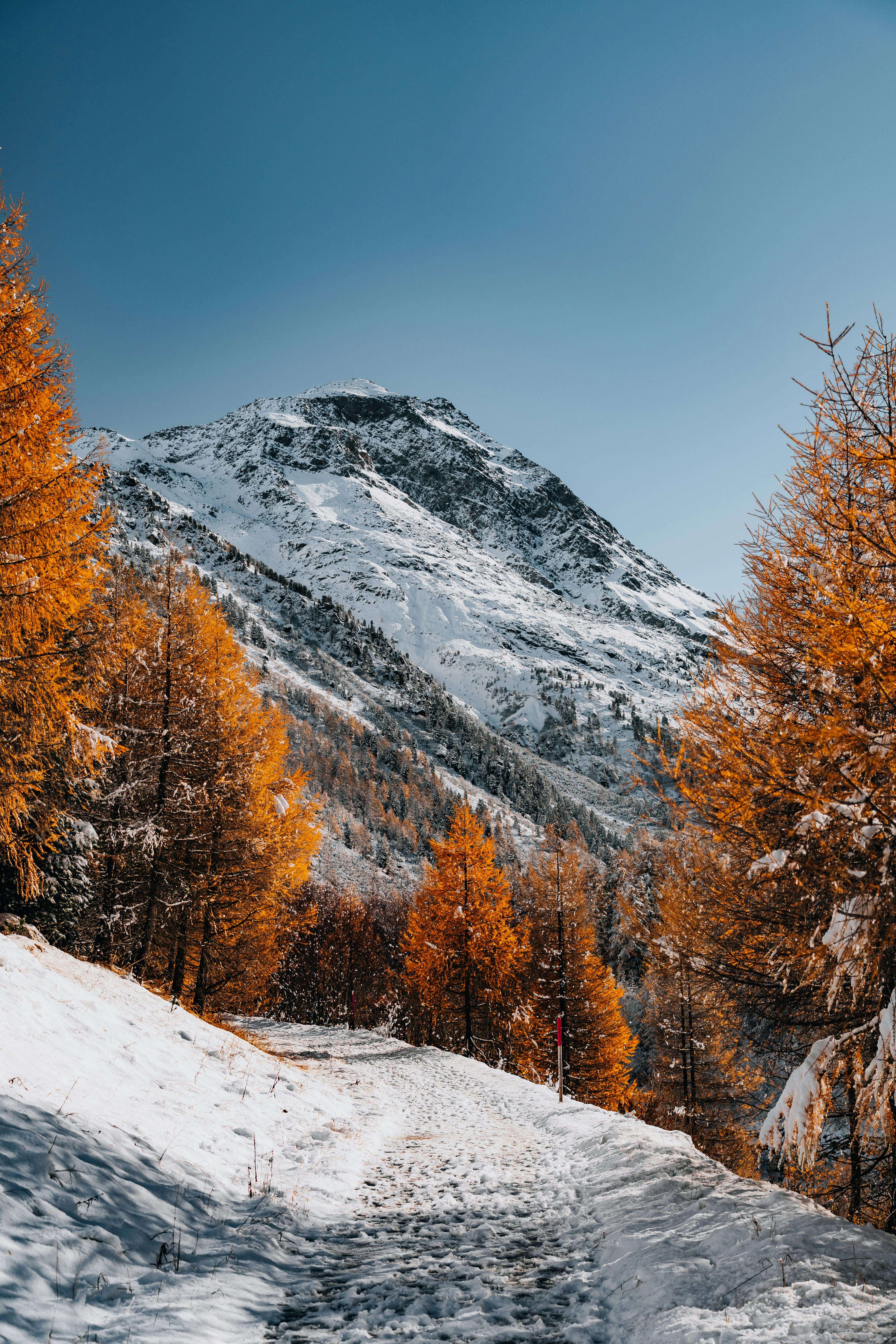 vite打包第三方wasm项目，生产报错的问题
