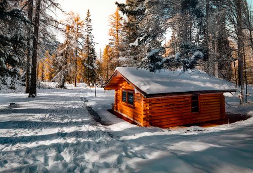 Free A charming log cabin amidst snowy woods, evoking serene winter vibes. Stock Photo
