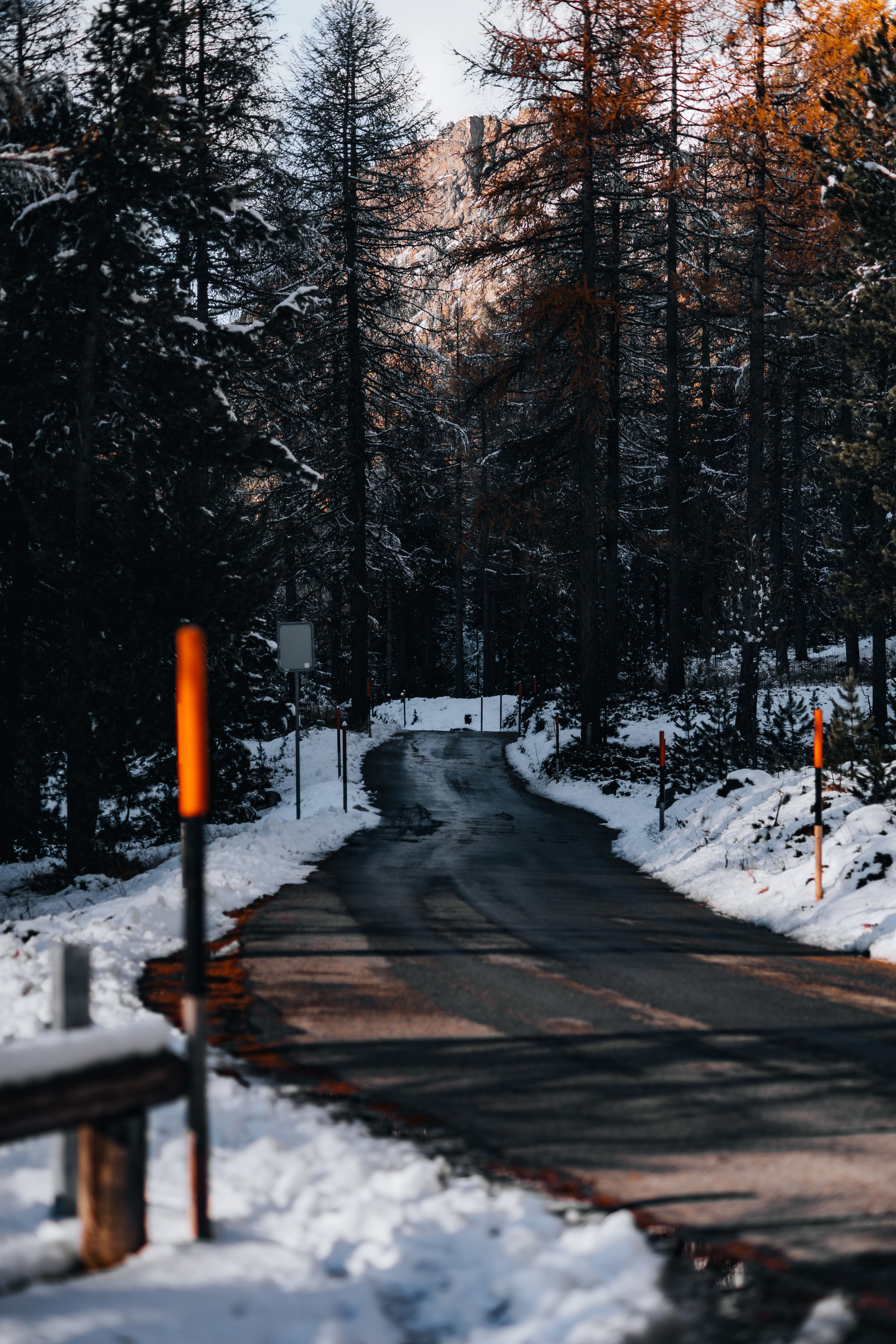 Serene Snowy Forest Road in Winter Landscape · Free Stock Photo