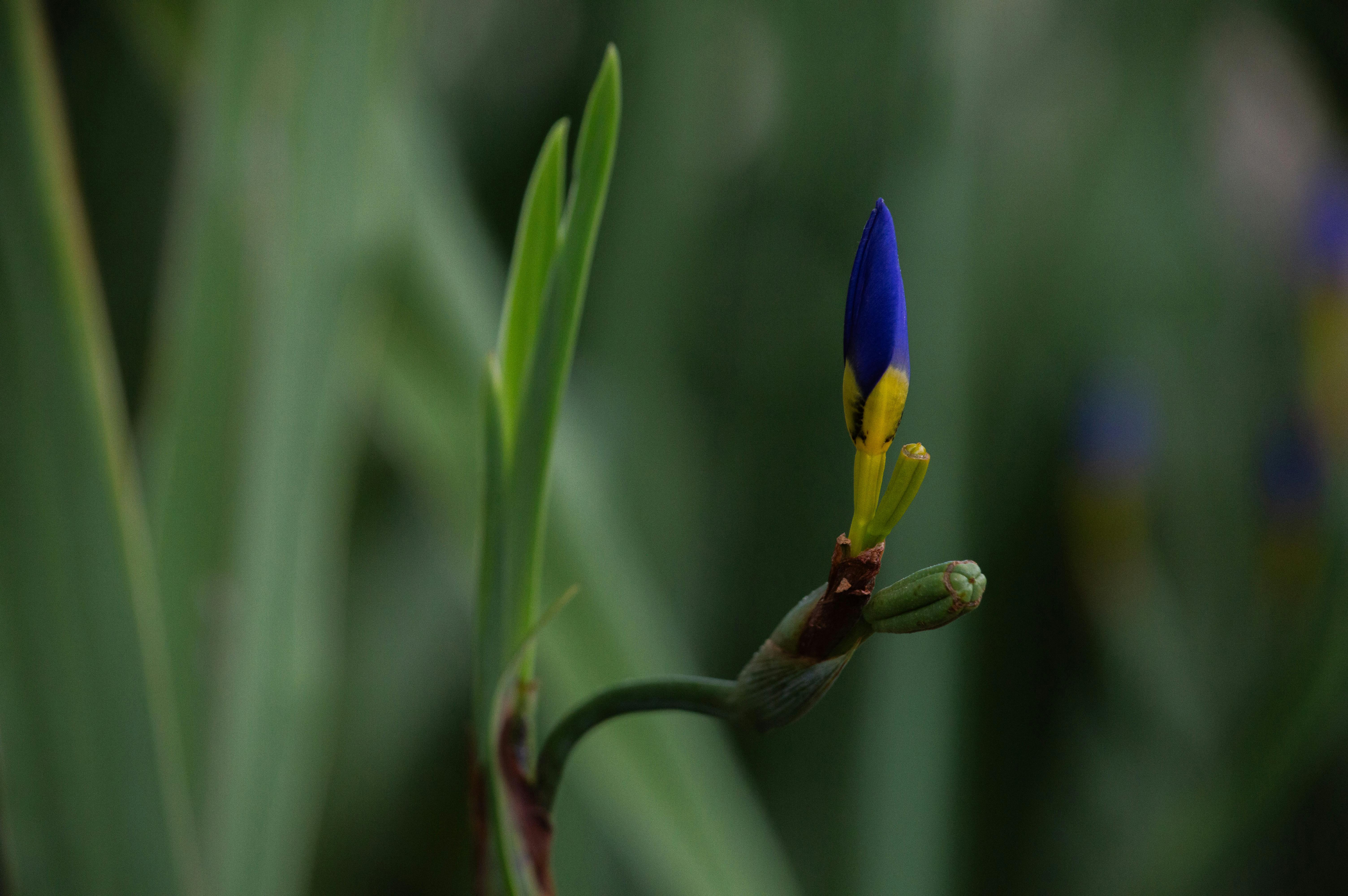 Transforma tus Relaciones: Claves para una Vida Más Plena