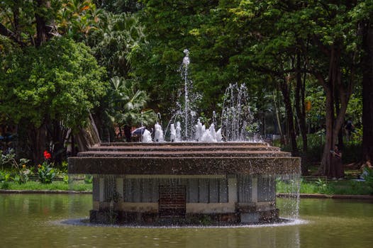 A tranquil fountain surrounded by lush greenery in a park in Minas Gerais, Brazil.