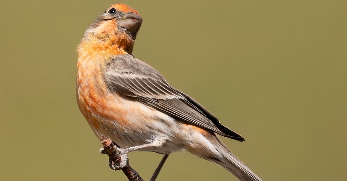 Cómo Fortalecer tus Relaciones Interpersonales en Cualquier Ámbito Cómo Fortalecer tus Relaciones Interpersonales en Cualquier Ámbito