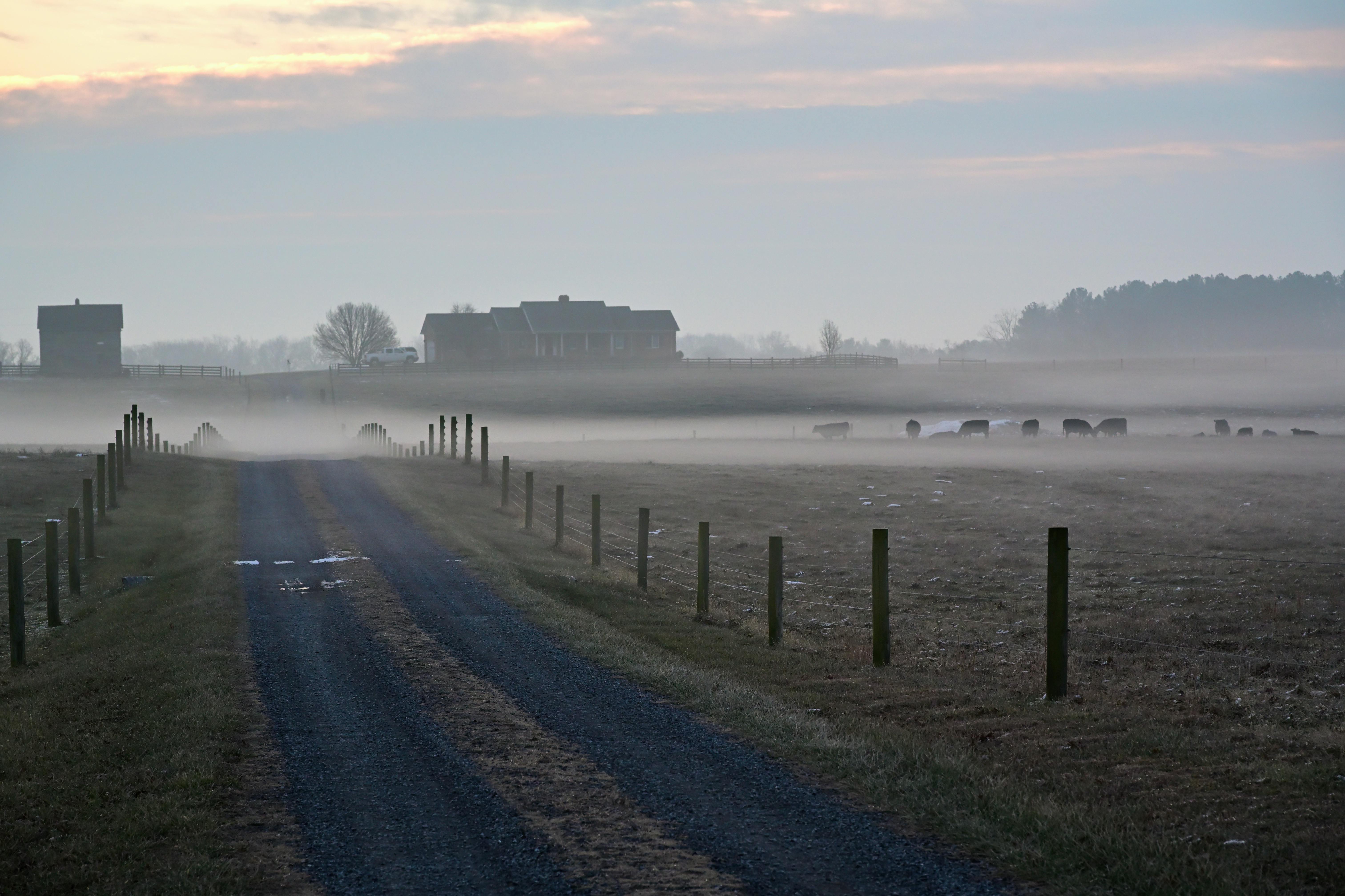 利統全力支持擊劍新秀 助力台灣選手邁向國際舞台