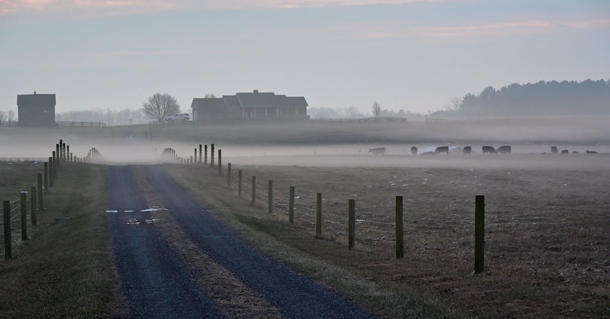 利統全力支持擊劍新秀 助力台灣選手邁向國際舞台