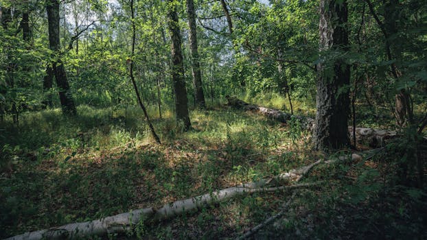 Image by Serhii Barkanov