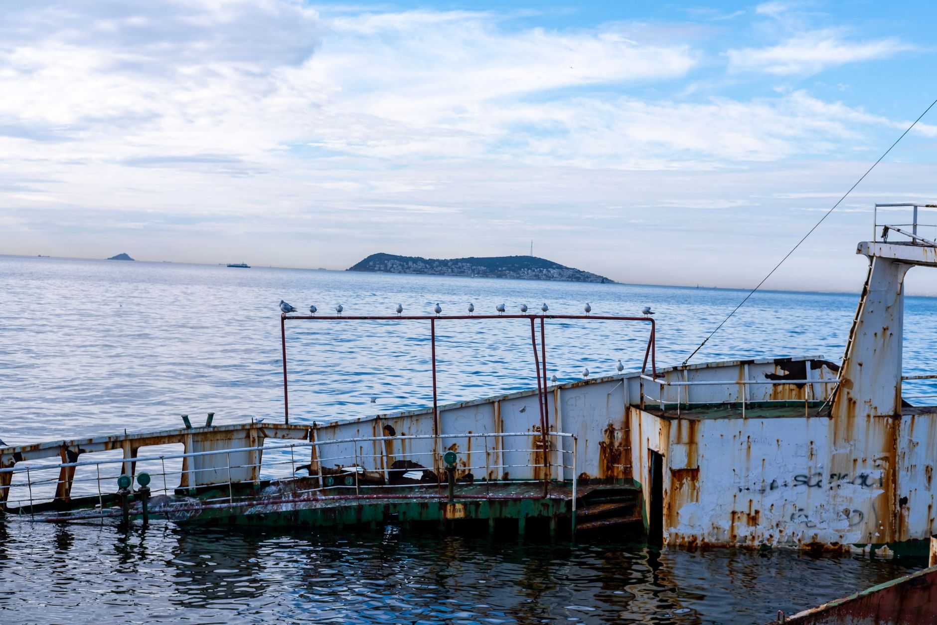 Aged shipwreck with birds on the Marmara Sea, near Istanbul, Türkiye.