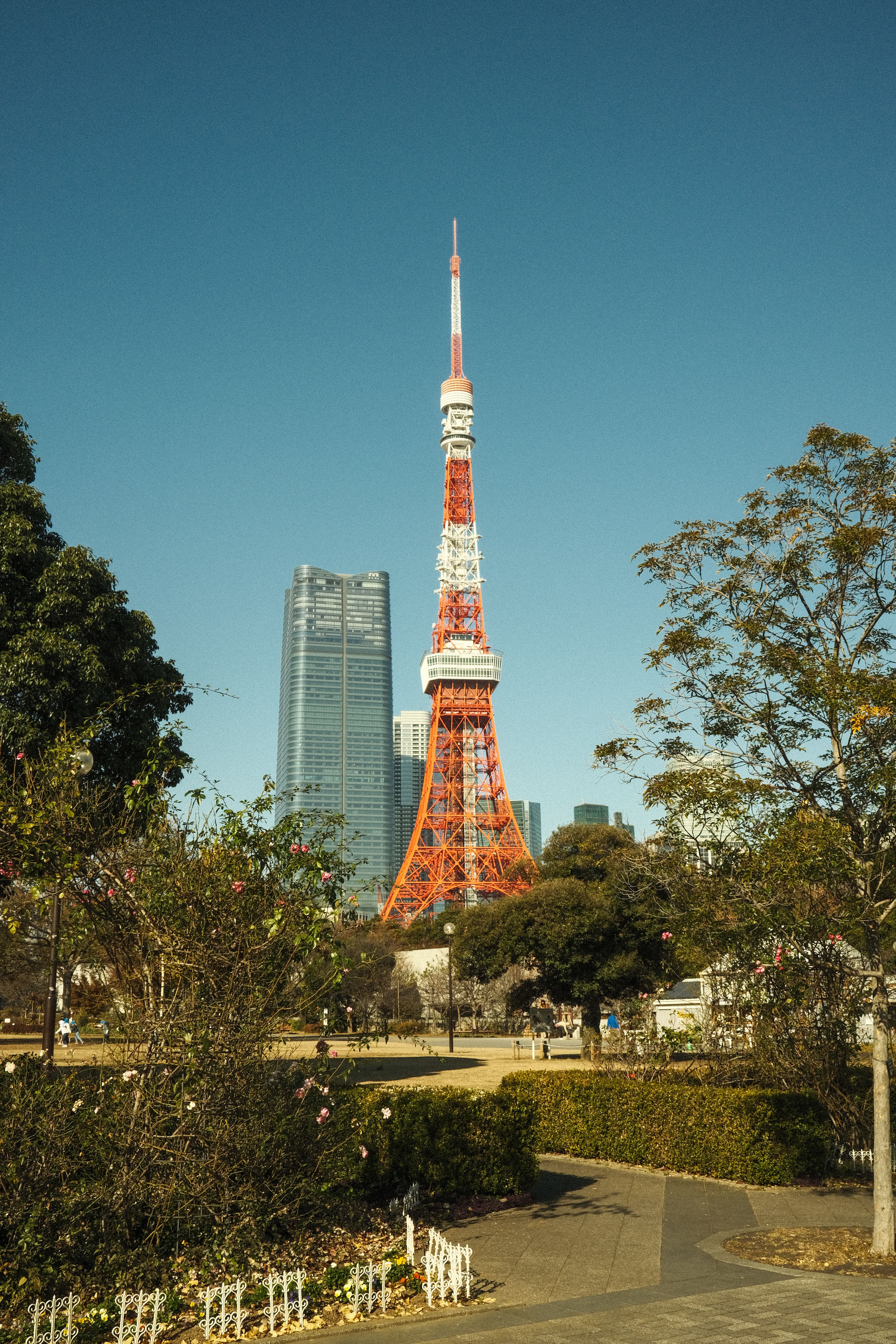 Iconic View of Tokyo Tower in Springtime · Free Stock Photo