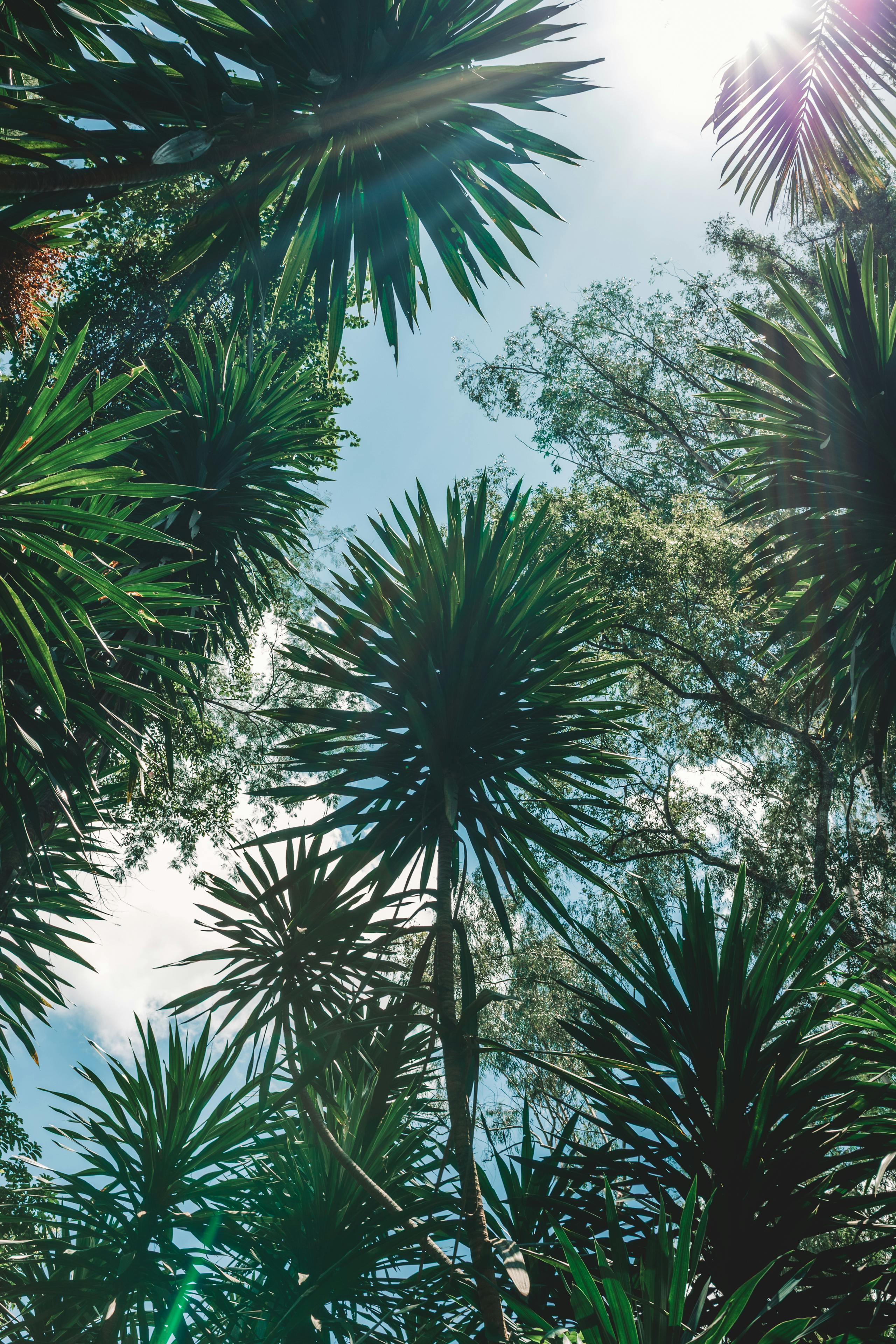 무료 경치, 공원, 광야의 무료 스톡 사진