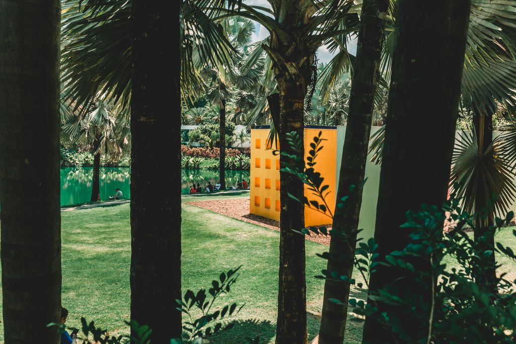 Vista de Inhotim