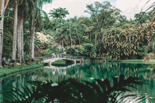 Free Beautiful tropical garden scene with a bridge over water, located in Brumadinho, Brazil. Stock Photo