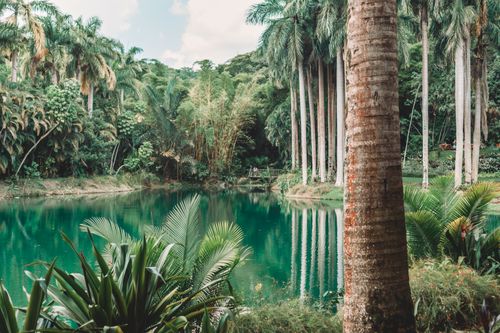 Free Explore the serene beauty of a tropical landscape in Brumadinho, Minas Gerais, Brazil with lush greenery and tranquil water. Stock Photo