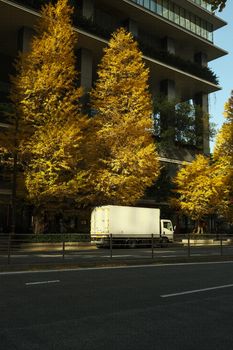 A white truck beside vibrant yellow ginkgo trees in Tokyo during fall, capturing an autumnal urban scene.