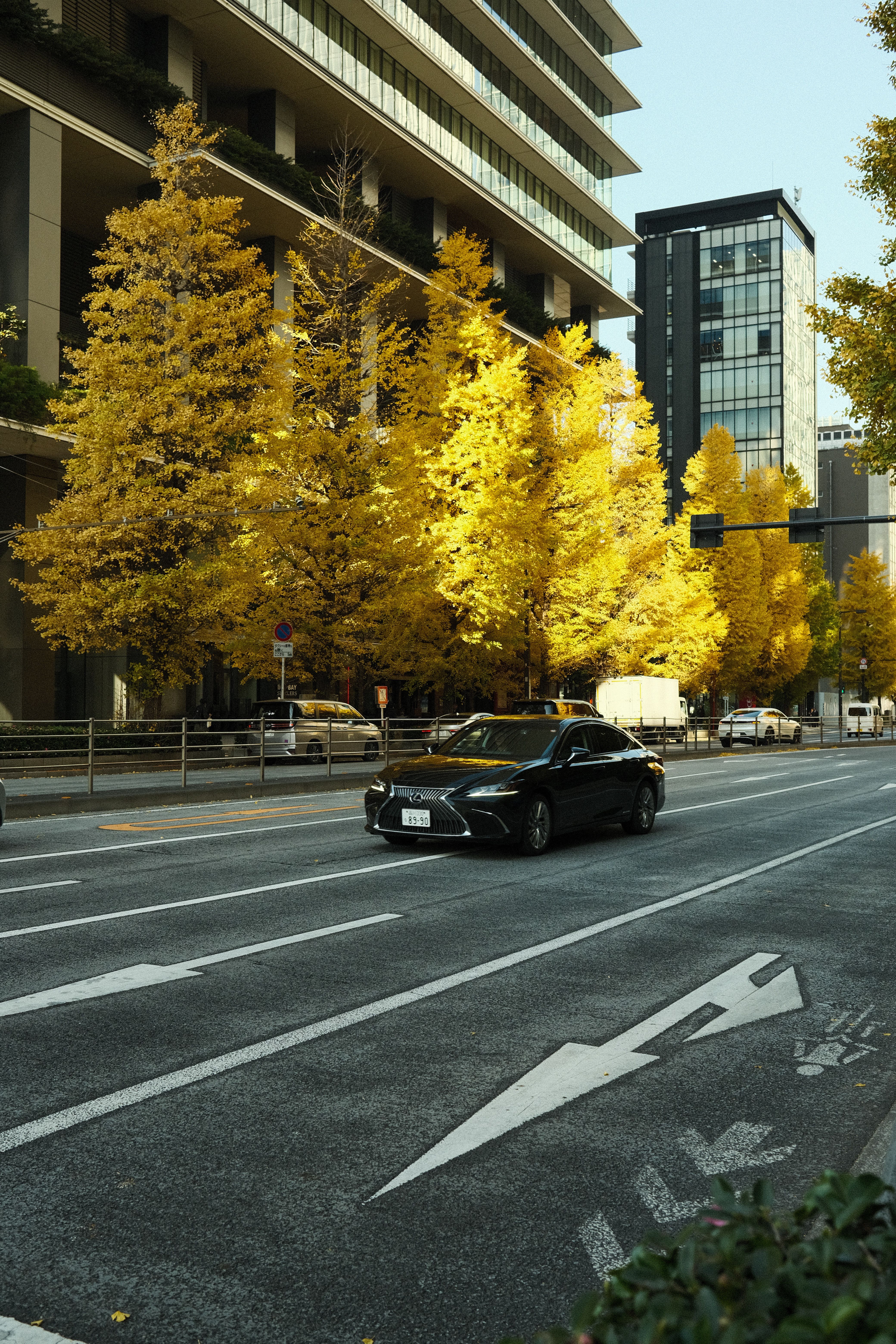 Cityscape with Autumn Foliage and Modern Architecture · Free Stock Photo