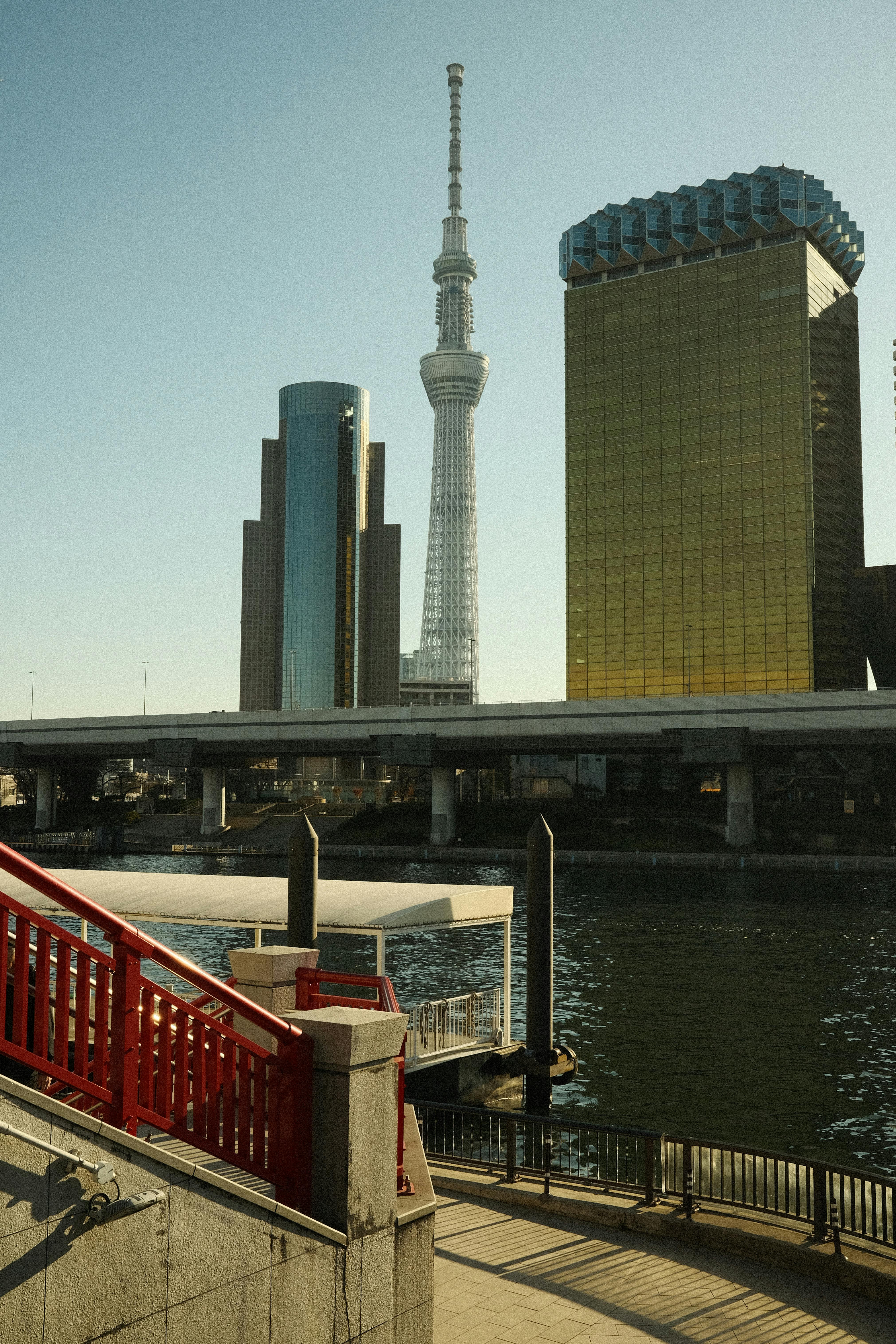 View of Tokyo Skytree and cityscape from a sunny riverbank, showcasing urban architecture.