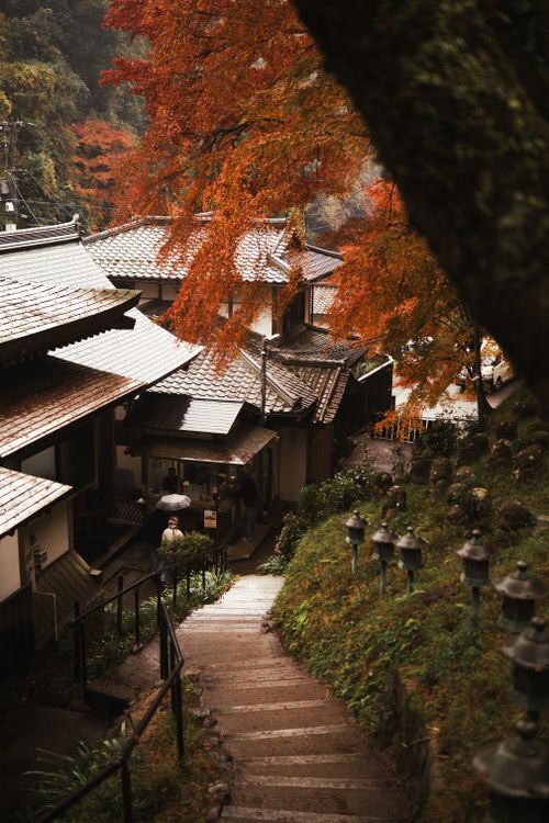 Free Picturesque autumn scene in Kyoto's historic district, featuring traditional Japanese architecture and vibrant fall foliage. Stock Photo