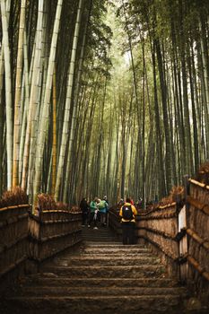 Visitors explore the lush Arashiyama Bamboo Grove in Kyoto, Japan.