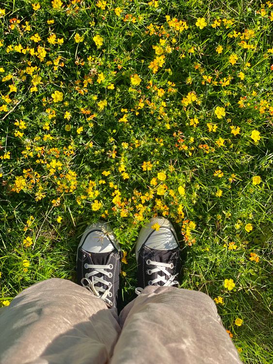 Feet in Sneakers Amidst Yellow Wildflowers · Free Stock Photo