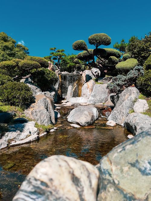 Free Tranquil Japanese garden featuring a waterfall, rocks, and sculpted trees under a clear blue sky. Stock Photo