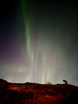 Stunning view of the northern lights illuminating the night sky in Borgarnes, Iceland.