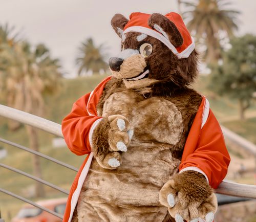 Free Outdoor shot of a furry cosplayer wearing a Santa-themed outfit at a park. Stock Photo