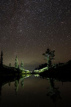 A serene view of a forest lake under a star-filled night sky, showcasing natural beauty and tranquility.