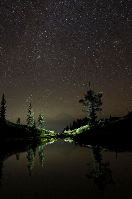 A serene view of a forest lake under a star-filled night sky, showcasing natural beauty and tranquility.