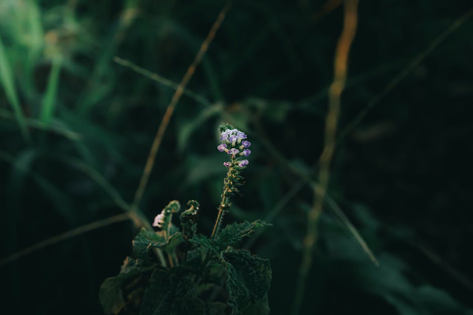 Chinandega, Nicaragua - travel photo