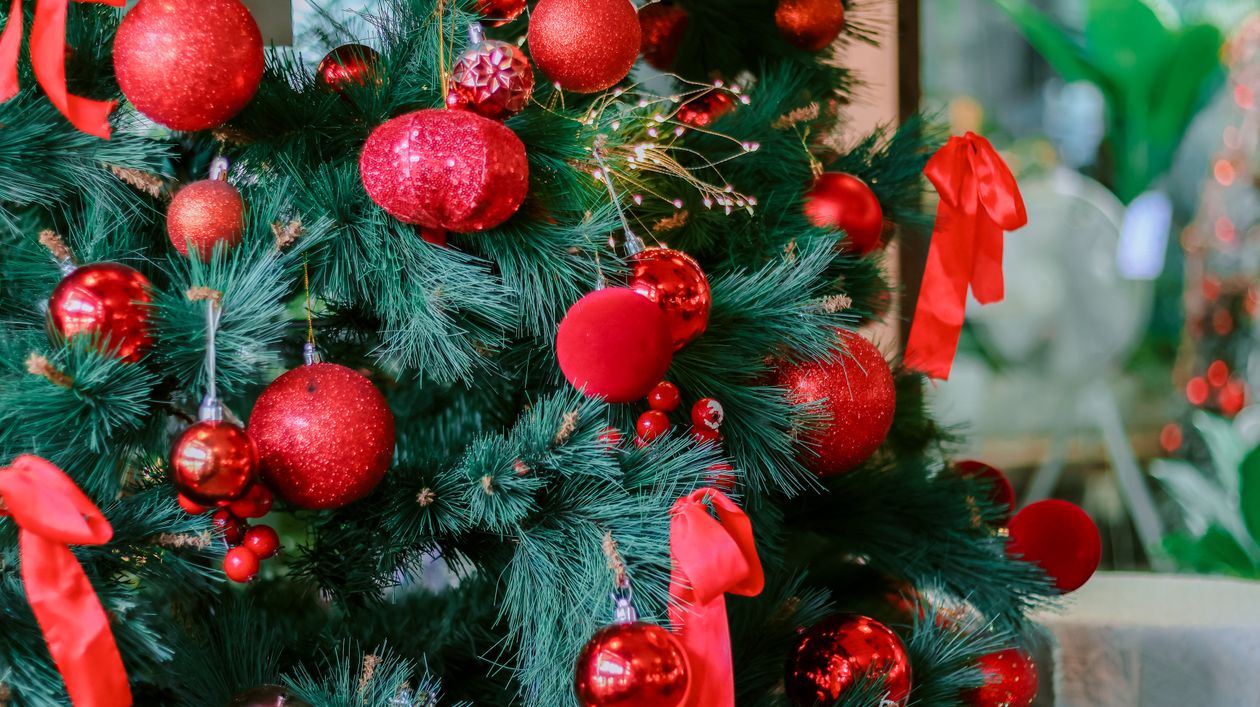 Festive Christmas Tree with Red Ornaments · Free Stock Photo