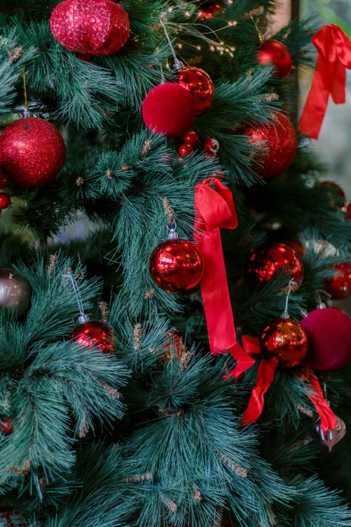 Free Decorative Christmas tree adorned with red baubles and ribbons, perfect for holiday ambiance. Stock Photo