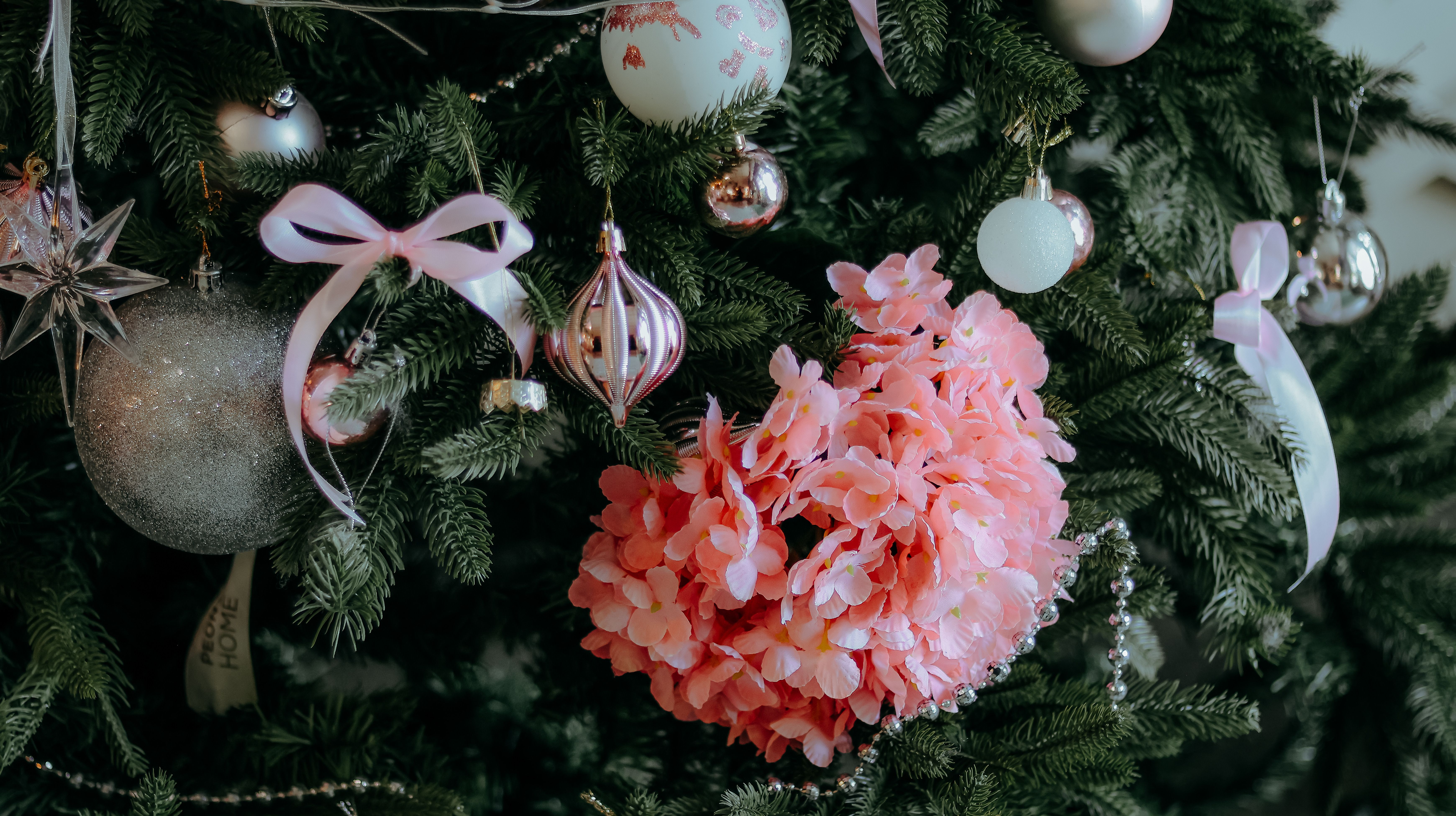 Christmas arrives at the White House. See photos, video of decor. — Photo by 🇻🇳🇻🇳Nguyễn Tiến Thịnh 🇻🇳🇻🇳 on Pexels