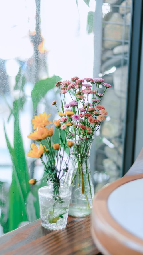 Free Vibrant flowers in glass vases on a wooden table by a window. Stock Photo