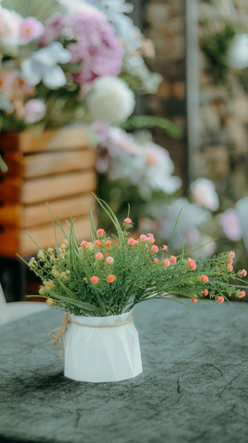 Free Charming floral bouquet in a white vase with soft pink blossoms, perfect for home decor. Stock Photo