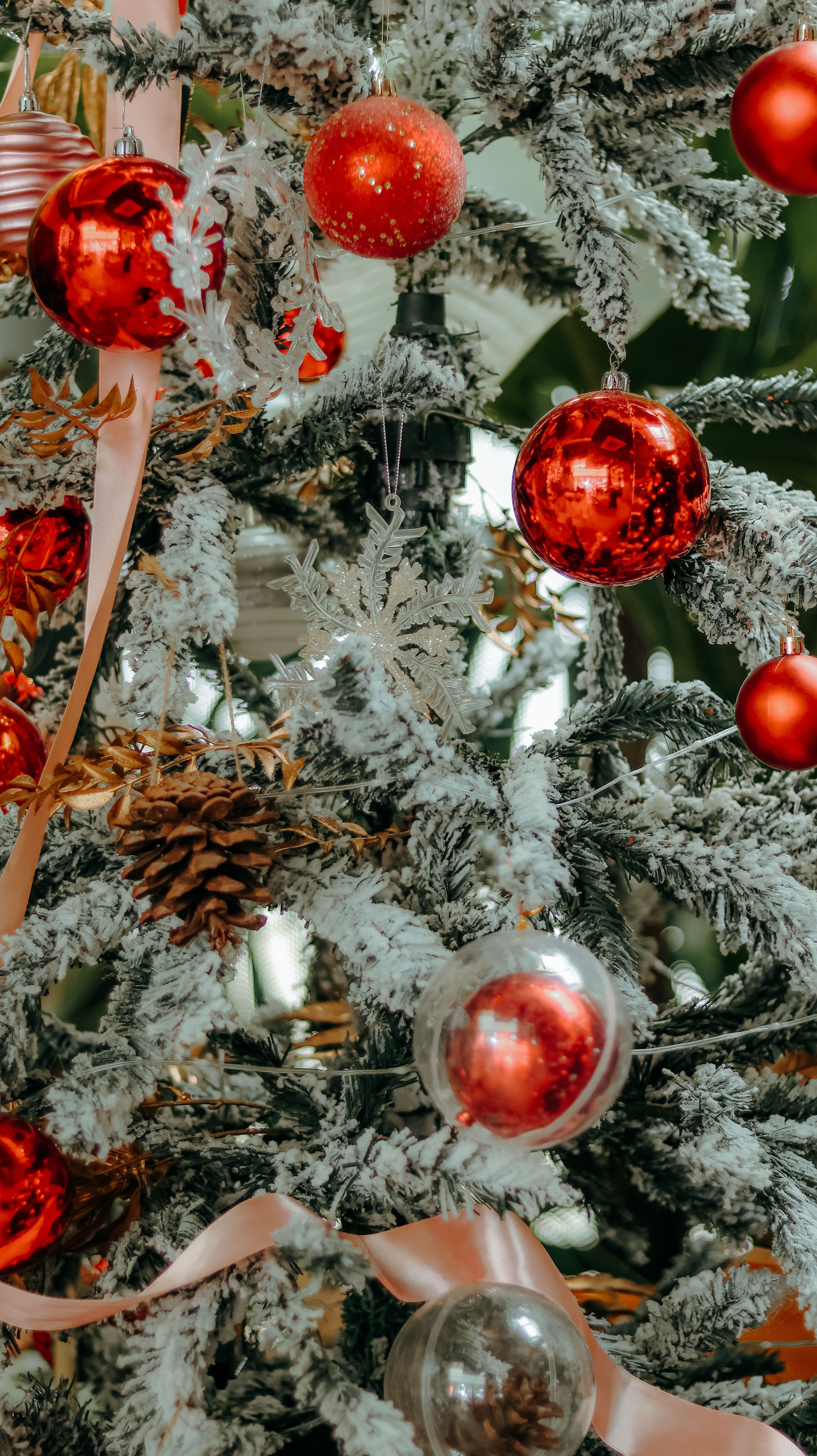 Festive Christmas Tree with Red Ornaments · Free Stock Photo