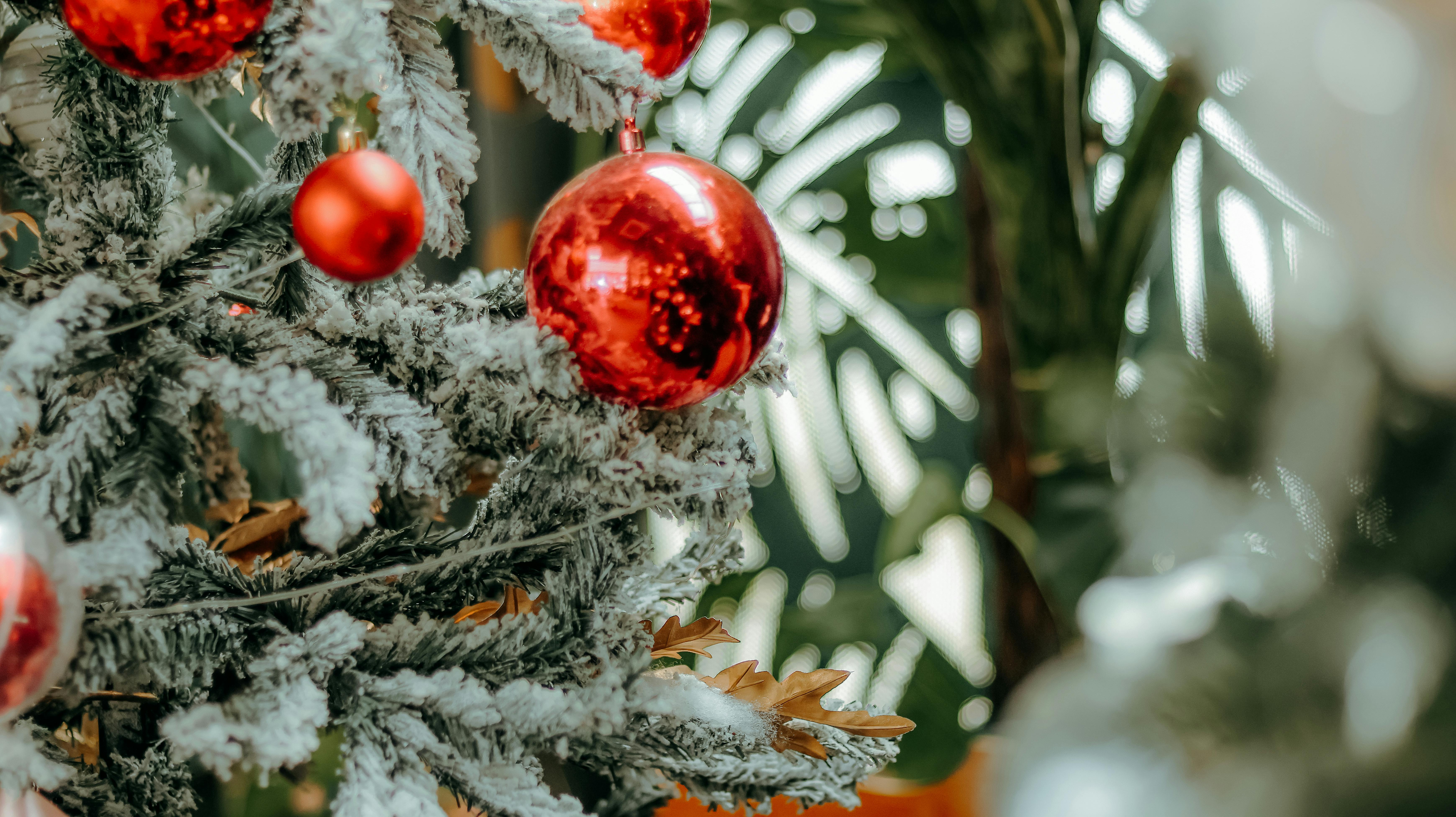 Hobbycraft launches Christmas deals with major savings on kids craft kits — Photo by 🇻🇳🇻🇳Nguyễn Tiến Thịnh 🇻🇳🇻🇳 on Pe