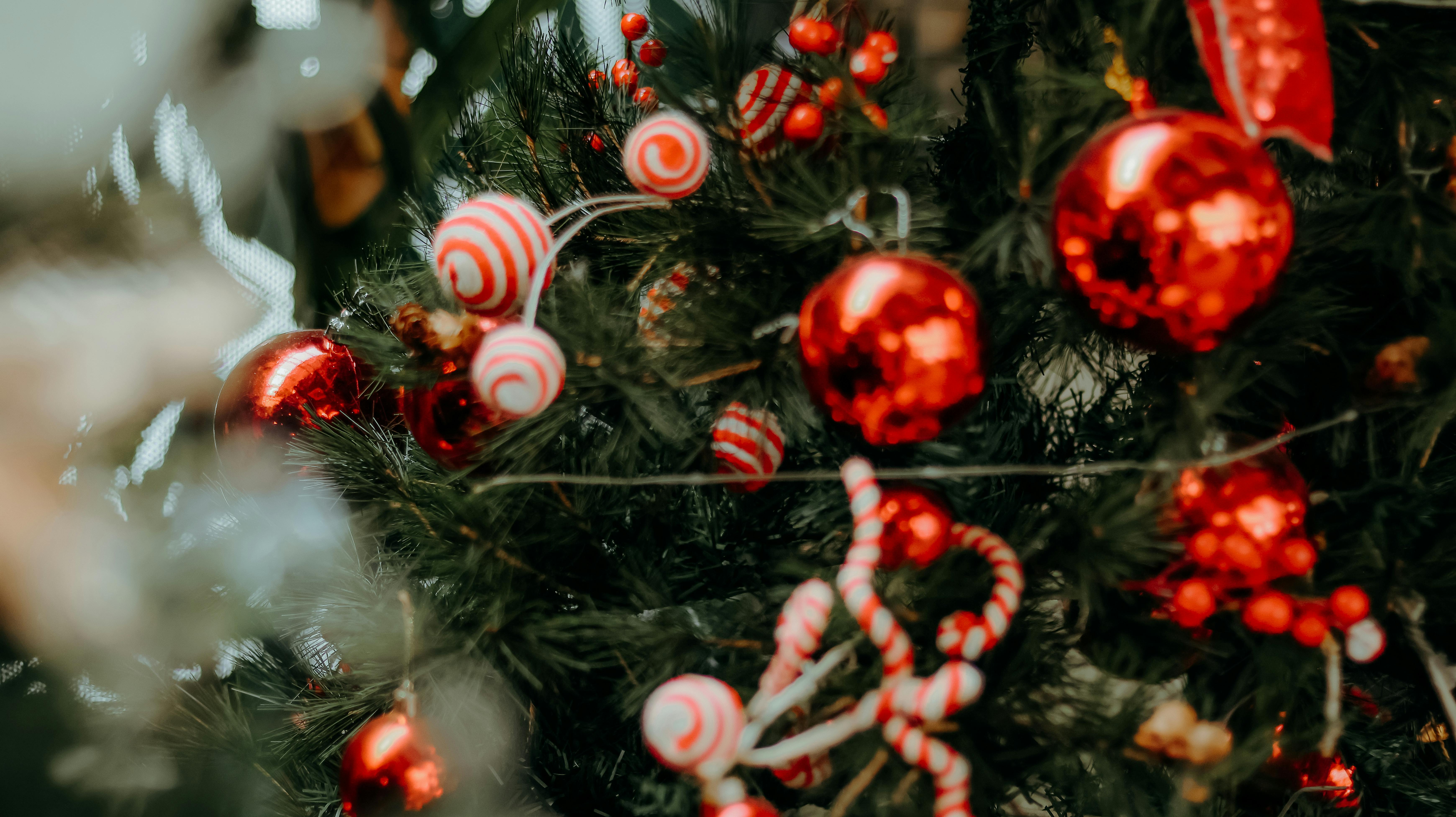 Christmas arrives at the White House. See photos, video of decor. — Photo by 🇻🇳🇻🇳Nguyễn Tiến Thịnh 🇻🇳🇻🇳 on Pexels