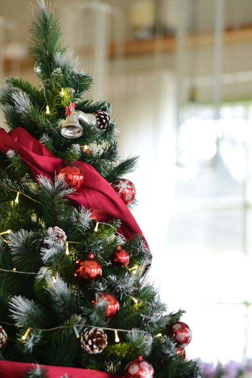 Free Elegant Christmas tree decorated with red ornaments and a red ribbon, indoors with natural light. Stock Photo