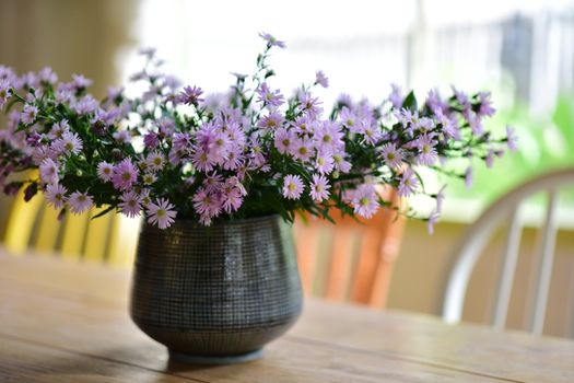 Beautiful purple daisies in a textured ceramic vase, captured on a wooden table indoors.