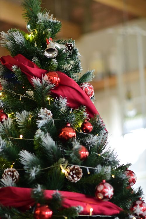 Free Beautifully decorated Christmas tree with red ornaments indoors, capturing holiday spirit. Stock Photo