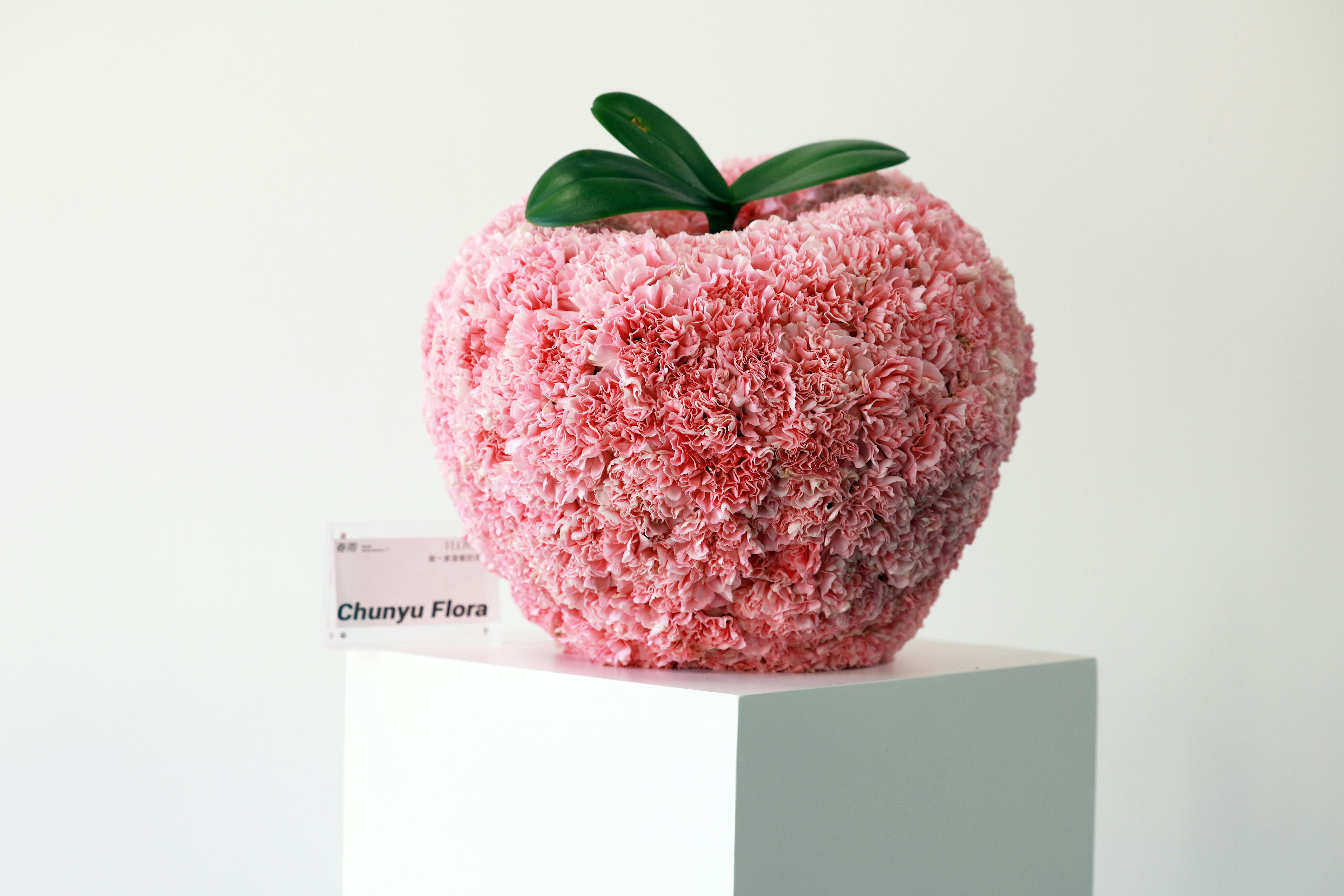 Celebrating Natural Beauty in Modern Nature Art