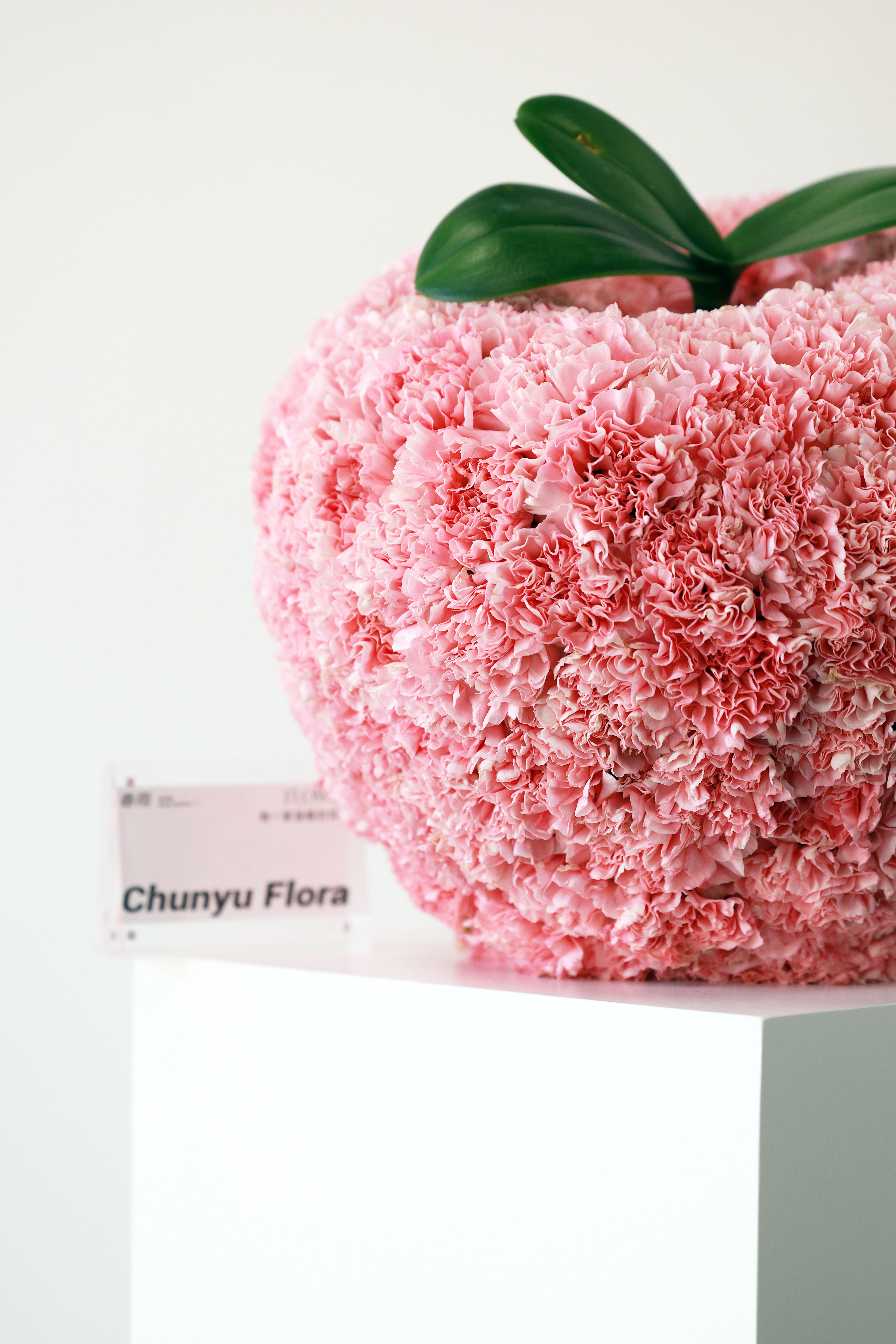 Intricate pink carnation sculpture with foliage, displayed on white pedestal as art exhibit.