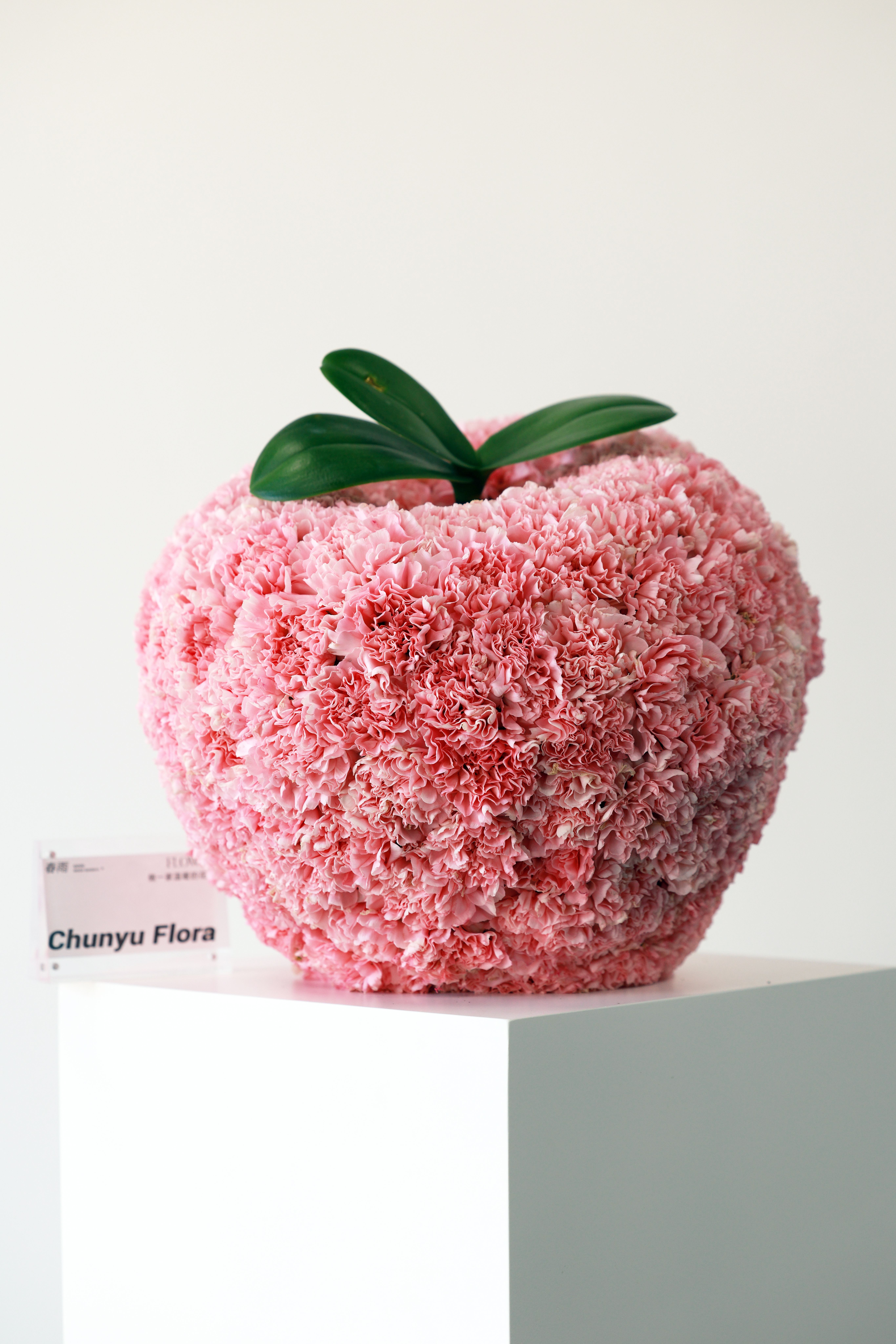 Creative floral design shaped as an apple, featuring pink carnations and green leaves.