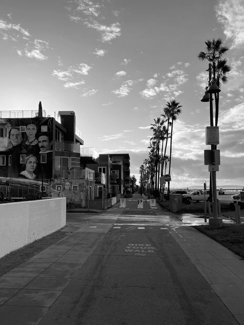 Free Experience the peaceful morning charm of the Venice Beach boardwalk with palm trees and street art. Stock Photo