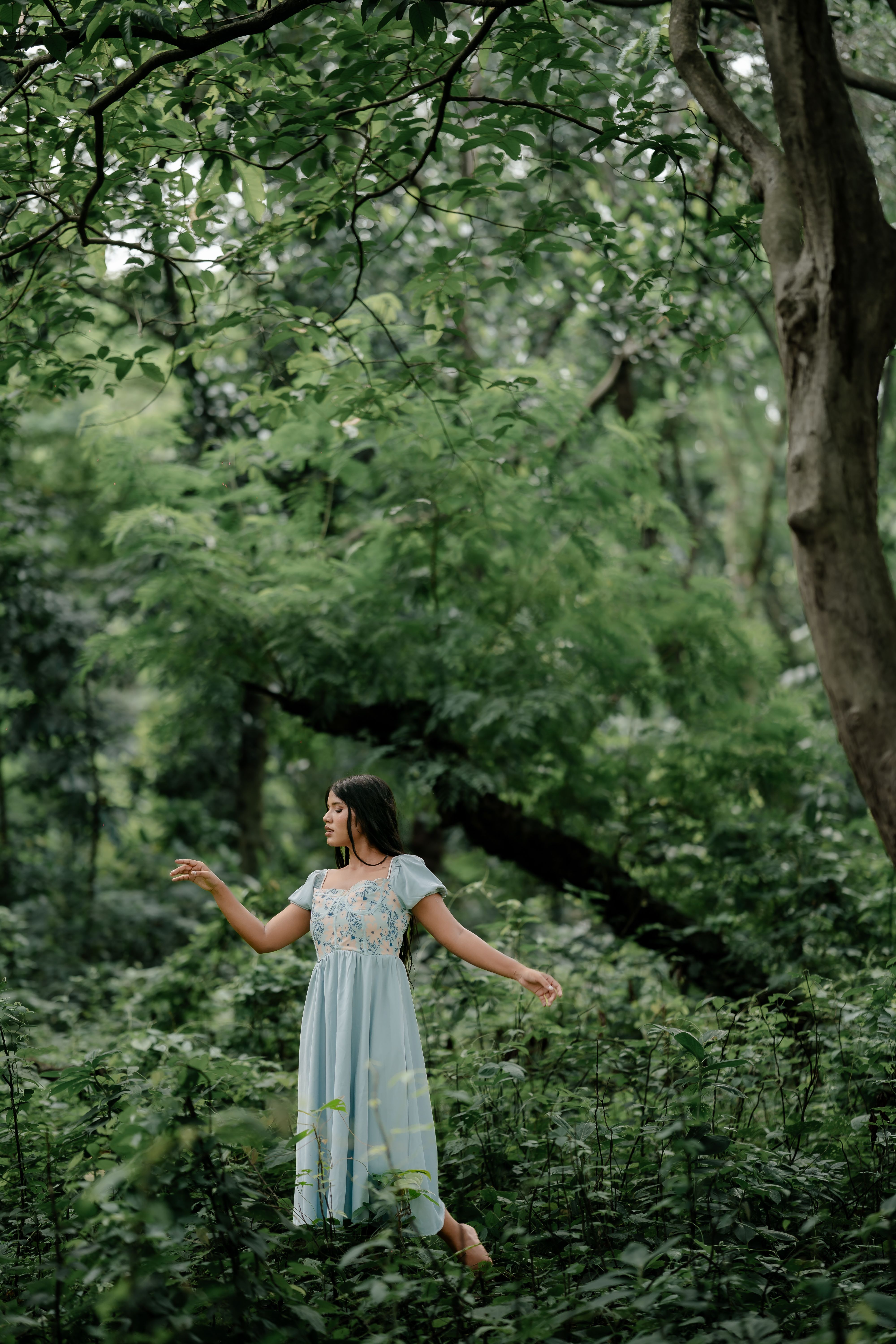 Woman in Blue Dress in Lush Green Forest  Free Stock Photo