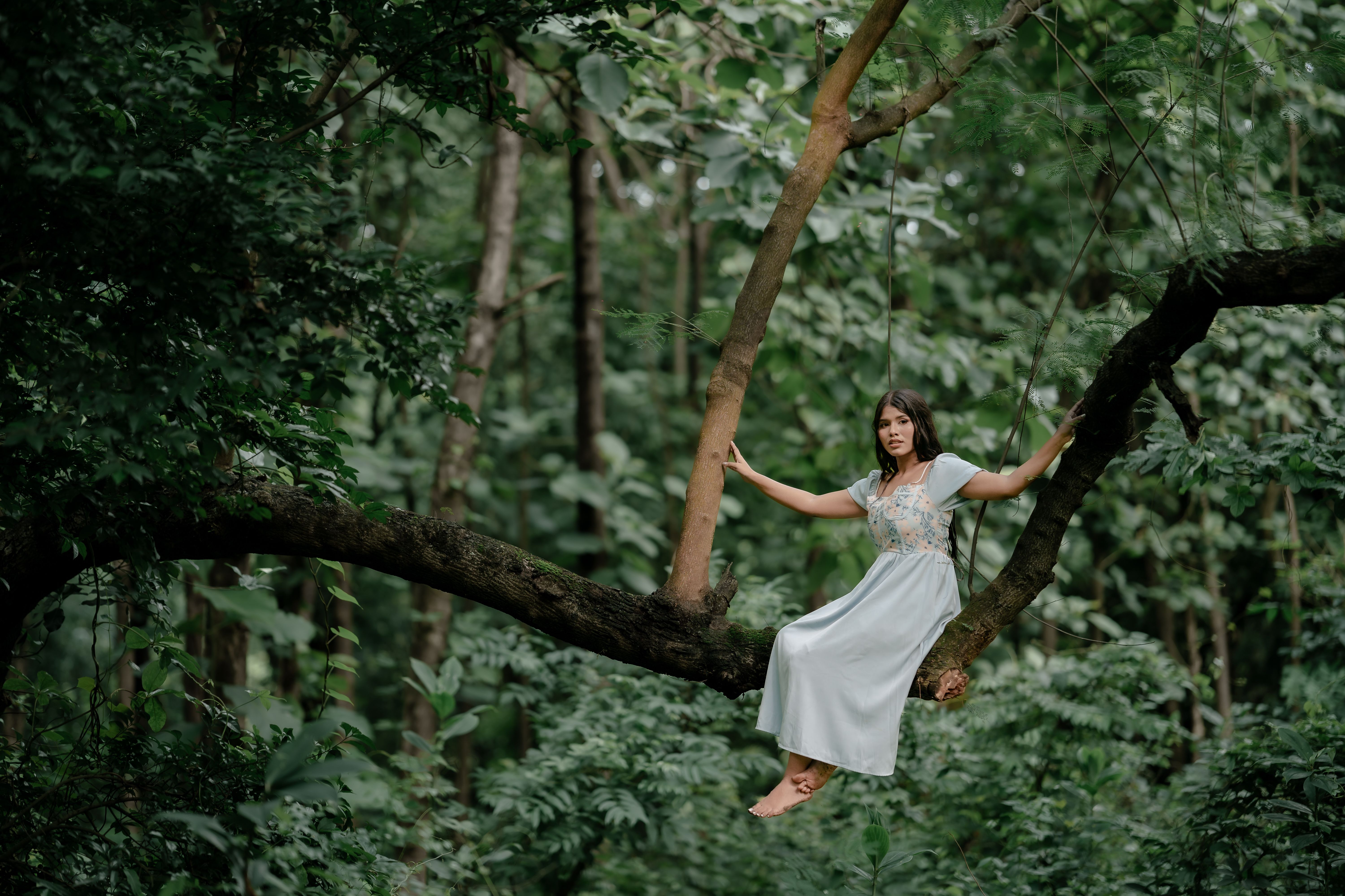 Woman in White Dress Sitting on Forest Tree · Free Stock Photo