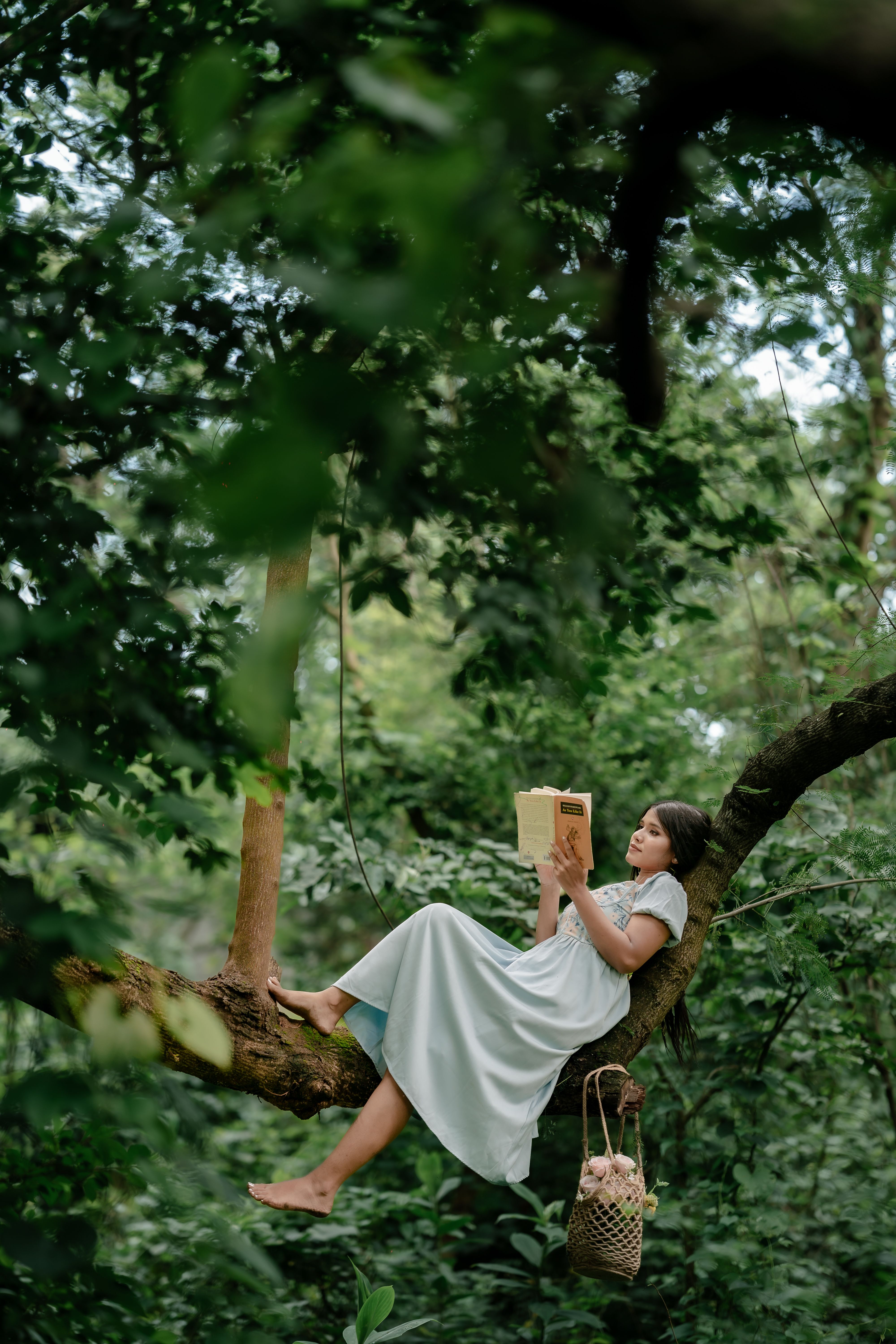 Woman Reading Book in a Tree in Lush Forest · Free Stock Photo