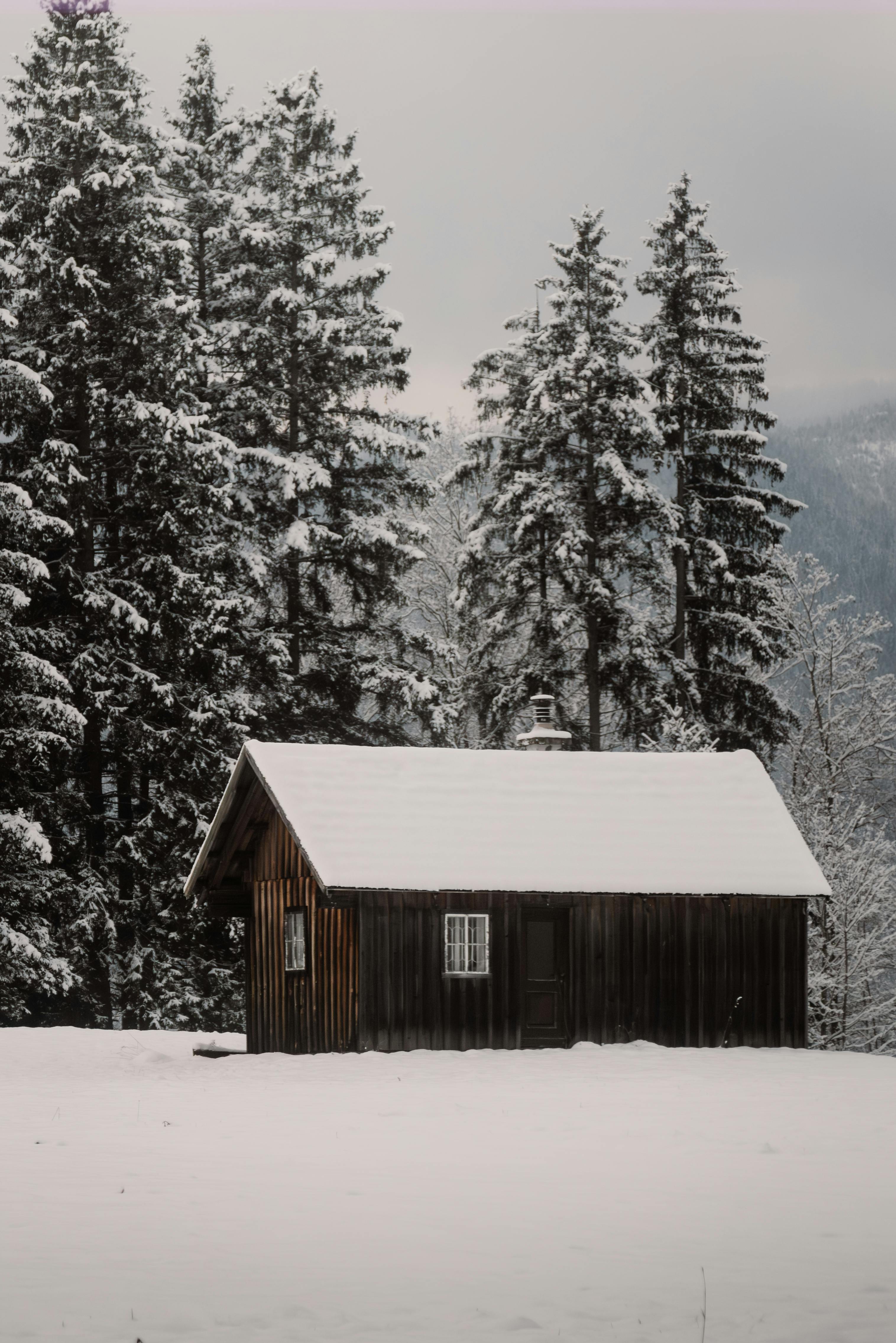 A serene wooden hut nestled in the snow-covered forest of Hallstatt, Austria in winter.