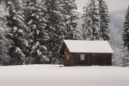 Free Serene winter scene of a rustic cabin in snowy Hallstatt, surrounded by dense pine forest. Stock Photo