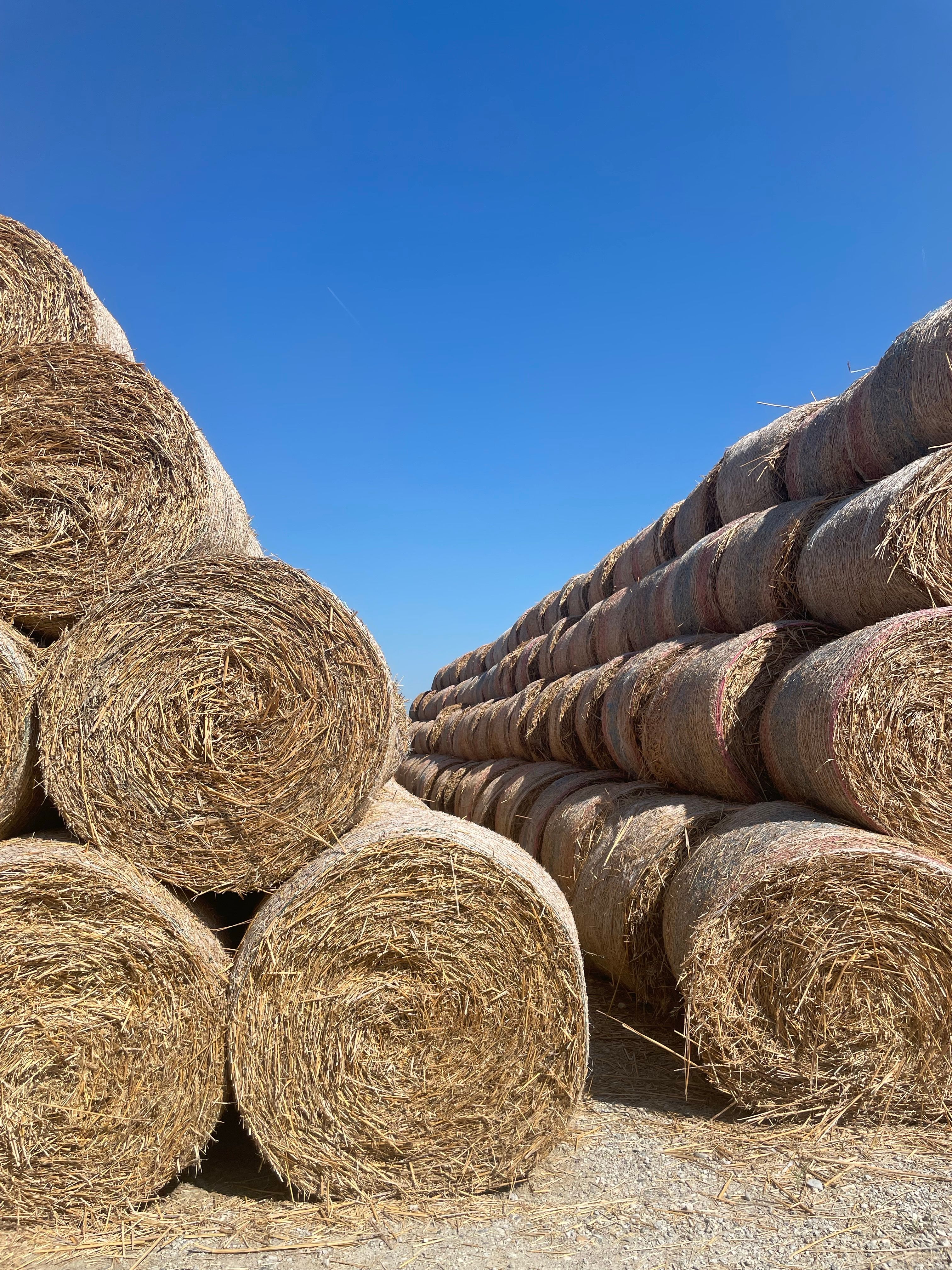 Stacked Hay Bales Under Clear Blue Sky · Free Stock Photo