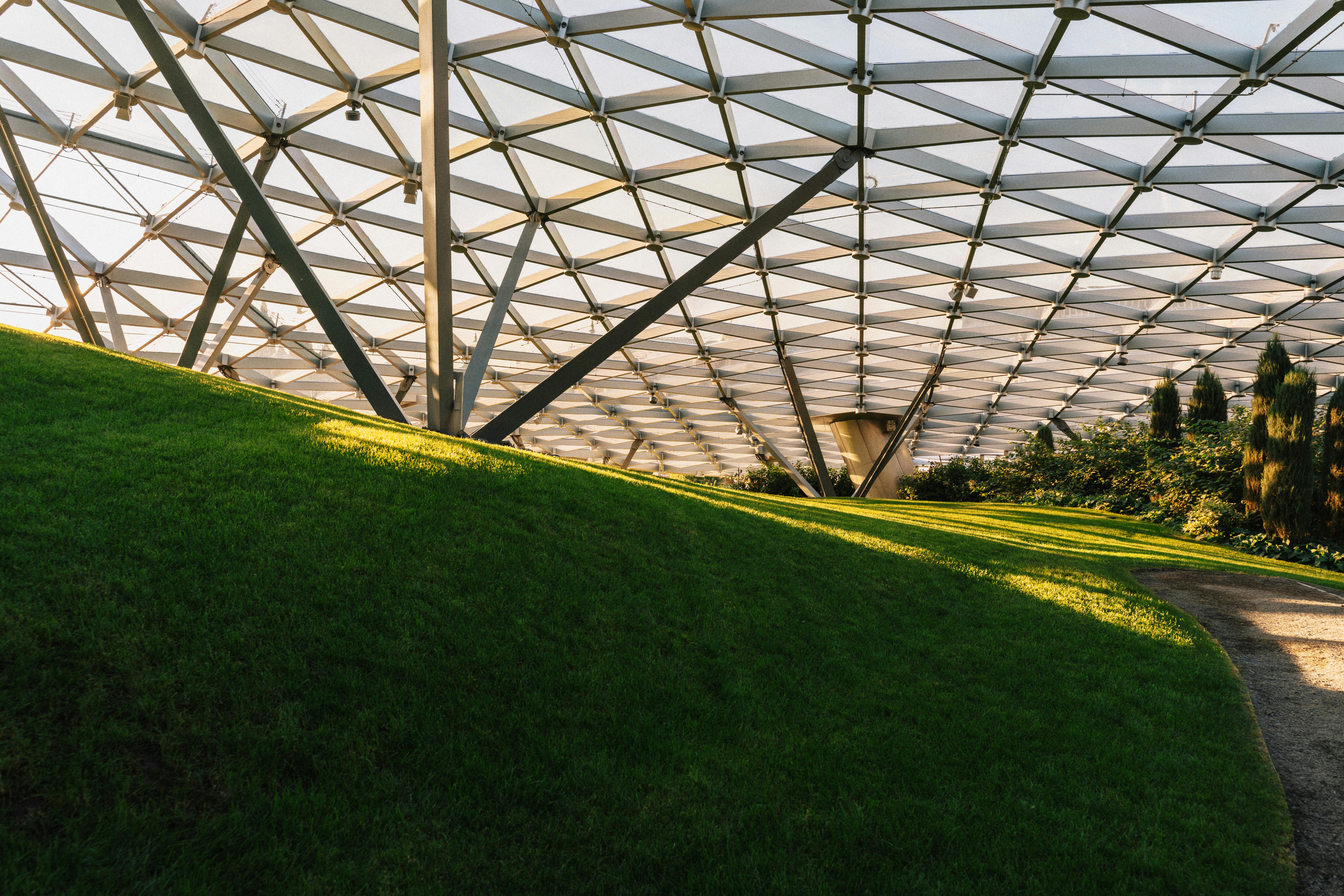 Cultivos Hortícolas: Diseño y Control Climático de Invernaderos